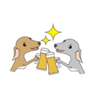 Italian greyhound fawn＆blue（個別スタンプ：17）
