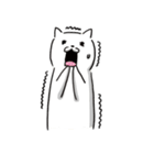 ぽっちゃりねこ（個別スタンプ：13）