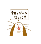 モルモット（個別スタンプ：1）