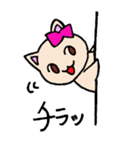 リボンにゃんこ（個別スタンプ：19）