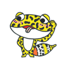 ヒョウモンくん（個別スタンプ：30）