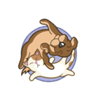 Funny Cat and Dog（個別スタンプ：36）