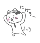 ネコ部長代理（個別スタンプ：24）