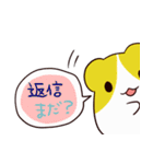 はむはむすたんぷ（個別スタンプ：13）