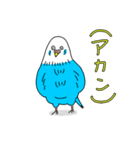 インコちゃんのオタク言葉（個別スタンプ：11）