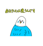 インコちゃんのオタク言葉（個別スタンプ：17）