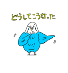 インコちゃんのオタク言葉（個別スタンプ：21）