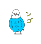 インコちゃんのオタク言葉（個別スタンプ：24）