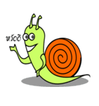 Didi Snail (THAI)（個別スタンプ：1）