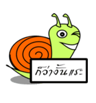 Didi Snail (THAI)（個別スタンプ：2）