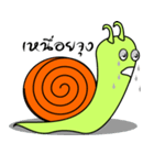 Didi Snail (THAI)（個別スタンプ：6）
