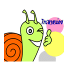 Didi Snail (THAI)（個別スタンプ：16）