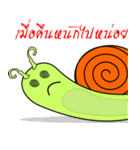 Didi Snail (THAI)（個別スタンプ：27）