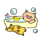 ★かぶたん★（個別スタンプ：20）