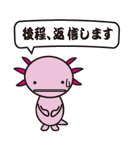 ウーパー君（個別スタンプ：14）