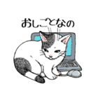 ブチねこブチ（個別スタンプ：13）