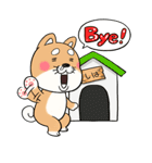 柴犬「しばさん」（個別スタンプ：5）