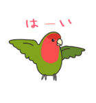 インコのぴーちゃん2（個別スタンプ：31）