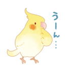 らぶインコ（個別スタンプ：6）