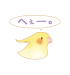 らぶインコ（個別スタンプ：9）