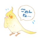 らぶインコ（個別スタンプ：11）