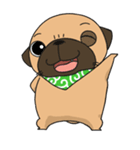 pug stamp（個別スタンプ：1）