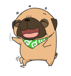 pug stamp（個別スタンプ：5）