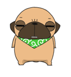 pug stamp（個別スタンプ：10）