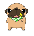 pug stamp（個別スタンプ：16）