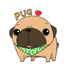 pug stamp（個別スタンプ：20）