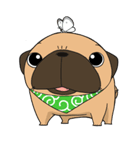 pug stamp（個別スタンプ：21）