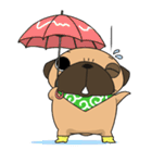 pug stamp（個別スタンプ：34）