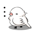ぶんちょうきょうだい！（個別スタンプ：10）