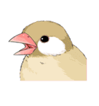 ぶんちょうきょうだい！（個別スタンプ：40）