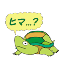 楽しい亀の私生活（個別スタンプ：5）