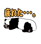 パンダの和夫（個別スタンプ：8）