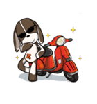 Dugi Family（個別スタンプ：37）