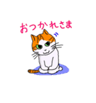 猫のうに（個別スタンプ：19）