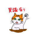 猫のうに（個別スタンプ：28）