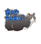 ぼやき猫（個別スタンプ：2）