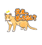 ぼやき猫（個別スタンプ：19）