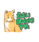 ぼやき猫（個別スタンプ：21）