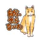 ぼやき猫（個別スタンプ：22）