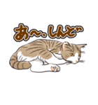 ぼやき猫（個別スタンプ：32）