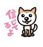 柴犬（個別スタンプ：5）