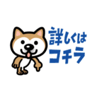 柴犬（個別スタンプ：20）