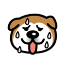 柴犬（個別スタンプ：23）