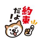 柴犬（個別スタンプ：31）