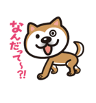 柴犬（個別スタンプ：33）