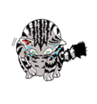 American Shorthair Cats-2（個別スタンプ：22）